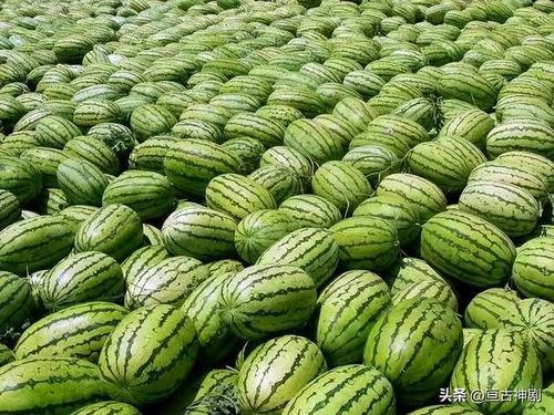 吾爱吃瓜51cg热门大瓜