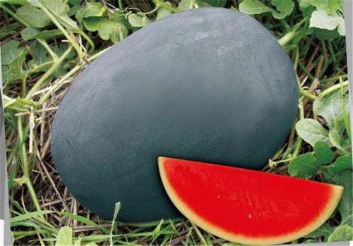 17cgcg吃瓜网黑料爆料在线看