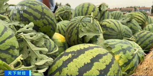 51cg吃瓜网今日吃瓜