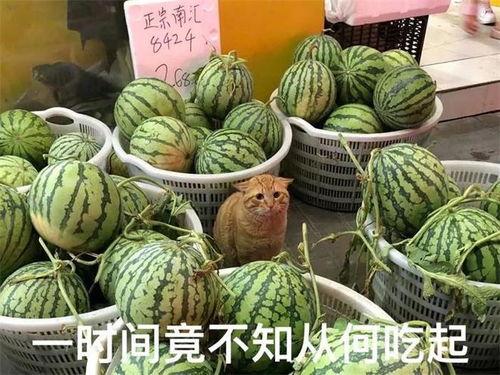 51cg吃瓜网今日吃瓜