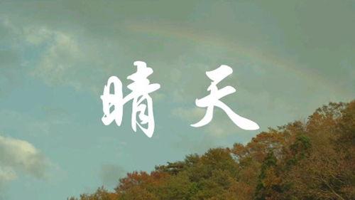 晴天影视——您的私人影视宝库