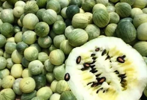 17ccgcg吃瓜网黑料爆料蘑菇