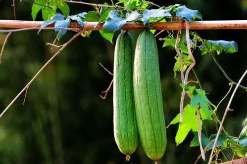 明星们的幕后故事