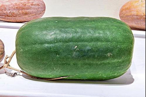 吾爱吃瓜51cg热门大瓜