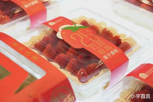 草莓樱桃西瓜榴莲通用包装盒——时尚与实用的完美结合