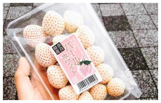 草莓樱桃西瓜榴莲通用包装盒——时尚与实用的完美结合