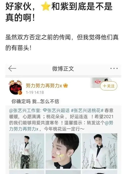 娱乐圈最新动态大揭秘