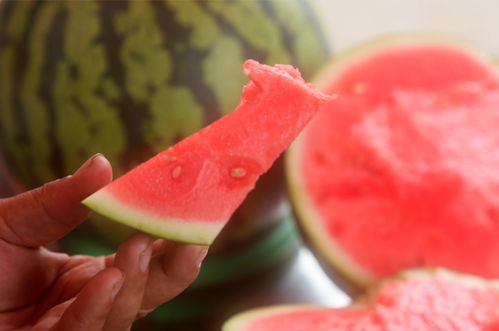 今日吃瓜必看!盘点夏季热门瓜果,解锁夏日清凉新姿势