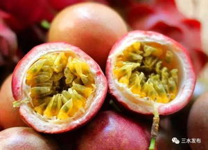 今日吃瓜必看!盘点夏季热门瓜果,解锁夏日清凉新姿势