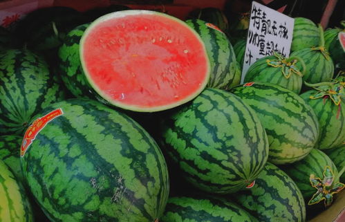 今日吃瓜必看!盘点夏季热门瓜果,解锁夏日清凉新姿势