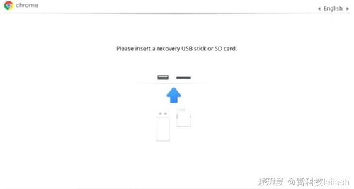 zztt16.ccm黑料不打烊