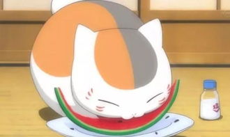 反差婊吃瓜爆料!超能电磁炉竟有如此惊人内幕!