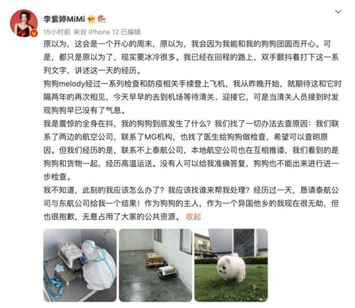 校园欺凌,揭开“吃瓜”背后的真相