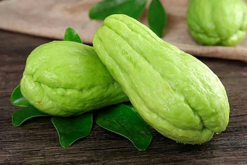 51cg热门大瓜今日吃瓜51cg热门大瓜今日吃瓜