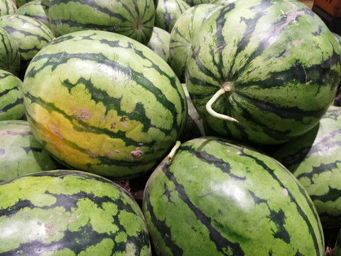 51cg热门大瓜今日吃瓜51cg热门大瓜今日吃瓜