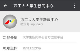 揭秘网红美食背后的秘密——食品安全与营养健康大揭秘