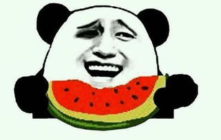 吃瓜视频APP——你的短视频娱乐新天地