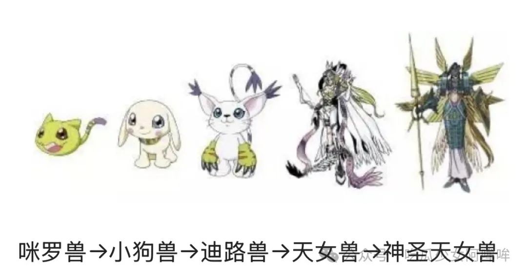 起猛了,看见一米九的天使兽了!美女Coser现身漫展,逆天身材比惊呆众人!还原度100%引热议!